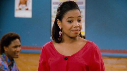 Family Matters Season 2 Episode 20 - Fight the Good Fight