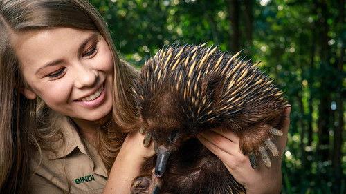 Crikey! It's the Irwins Season 1 Episode 4 - Robert, King of Cobras
