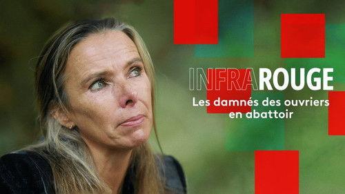 Infrarouge Season 15 Episode 16 - Episode 16