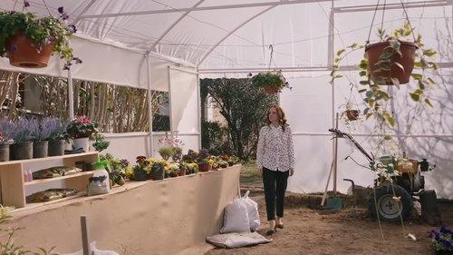 Winds of Love Season 1 Episode 60 - Episode 60