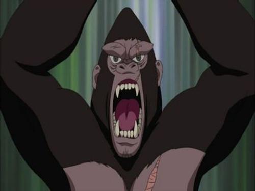 Naruto Shippūden Season 12 Episode 243 - Land Ahoy! Is this the Paradise Island?