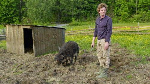 Farmen Kjendis Season 5 Episode 11 - Episode 11