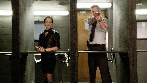 The Good Wife Season 1 Episode 11 - Infamy