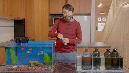 WTFAQ Season 1 Episode 6 - Episode 6