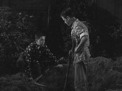 The Hardy Boys Season 1 Episode 7 - Dig For Treasure