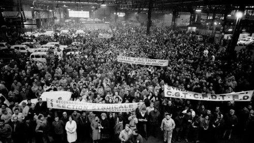 Infrarouge Season 13 Episode 12 - Episode 12