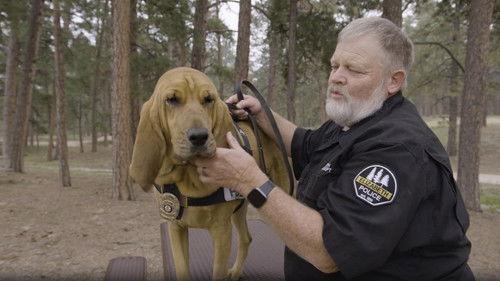 Forensic Files II Season 4 Episode 5 - The Scent of Death