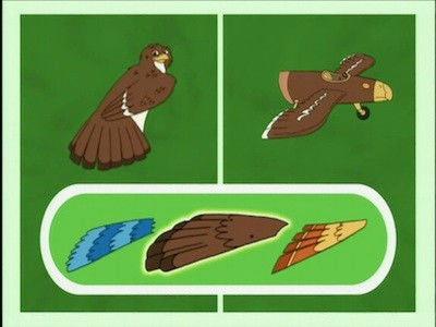 Go, Diego, Go! Season 2 Episode 11 - Jorge the Little Hawk Learns to Migrate