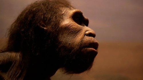 The UnXplained Season 4 Episode 10 - Mysteries of the Missing Link