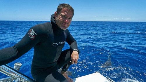 Shark with Steve Backshall Season 1 Episode 1 - Sharks of the Atlantic Ocean