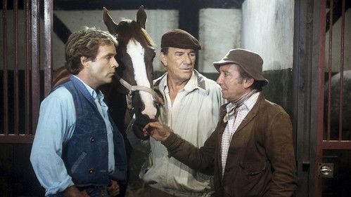 Rivalen der Rennbahn Season 1 Episode 9 - Das Zukunftsrennen