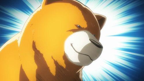 Girl Meets Bear Season 1 Episode 8 - On The Floor