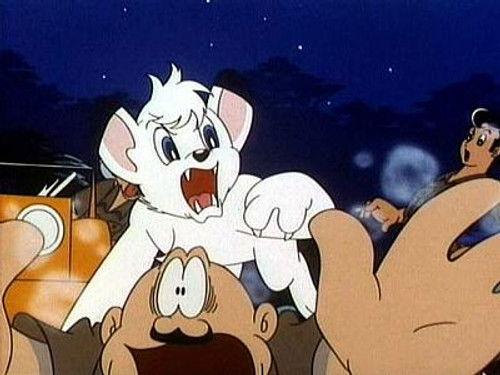 Kimba the White Lion Season 1 Episode 13 - The Trappers