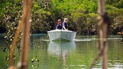 Aussie Salvage Squad Season 4 Episode 8 - Episode 8