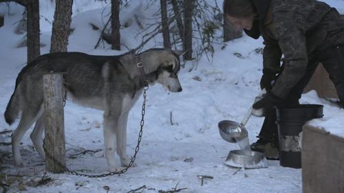 Life Below Zero Season 17 Episode 5 - Creature of the Night