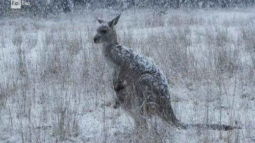 Superquark Season 27 Episode 4 - The ancient palaces of Rome and the lost glaciers of the Karakoram