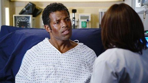 Grey's Anatomy Season 11 Episode 12 - The Great Pretender