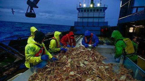Deadliest Catch Season 16 Episode 14 - Bering Sea Crash