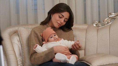 Cranberry Sorbet Season 2 Episode 12 - Episode 41