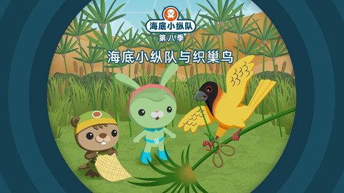 Octonauts Season 8 Episode 8 - Episode 8