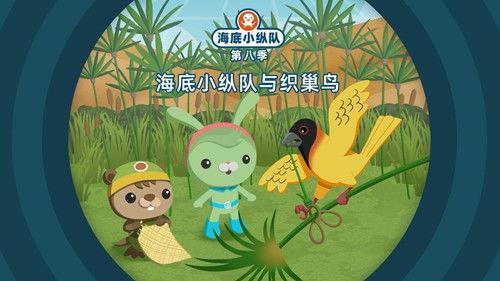 Octonauts Season 8 Episode 8 - Episode 8