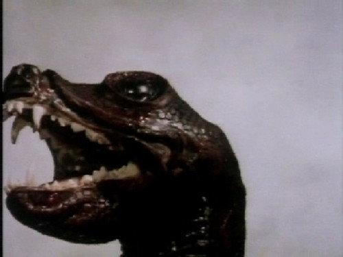 undefined Season 13 Episode 3 - Terror of the Zygons (3)