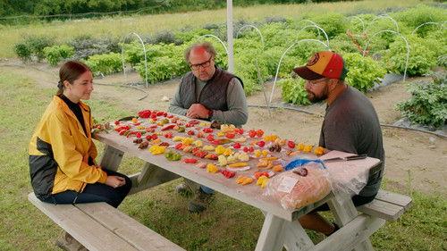 A Chef at the Shack Season 10 Episode 3 - Episode 3