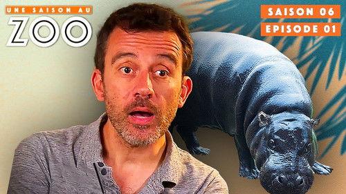 Une saison au zoo Season 6 Episode 1 - Episode 1