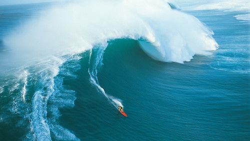 Nature Season 20 Episode 13 - Condition Black