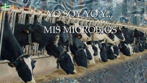 Planeta Microbio Season 1 Episode 12 - Episode 12