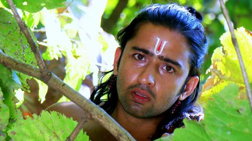 Mahabharat Season 8 Episode 5 - Pandavas enter Hidimba's jungle