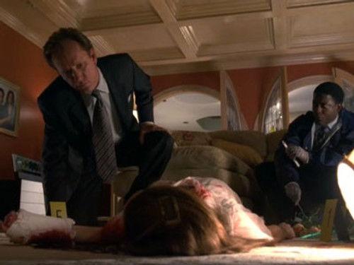 Shark Season 1 Episode 1 - Pilot