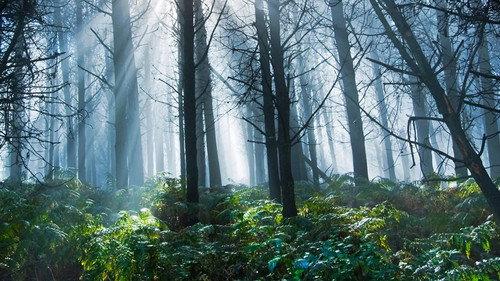 The Great British Year Season 1 Episode 3 - Summer