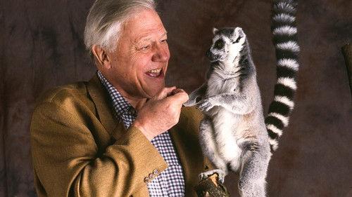 The Life of Mammals Season 1 Episode 5 - Meat Eaters