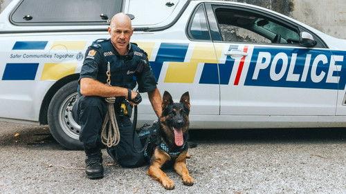 Dog Squad Season 12 Episode 6 - Episode 6