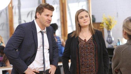 Bones Season 10 Episode 21 - The Life in the Light