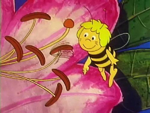 Maya the Bee Season 1 Episode 3 - Maya and The Dragonfly Shnuck