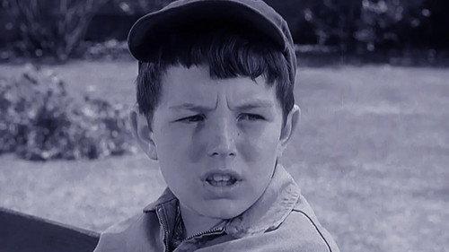 Leave It to Beaver Season 3 Episode 10 - Beaver's Fortune