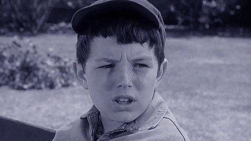 Leave It to Beaver Season 3 Episode 10 - Beaver's Fortune