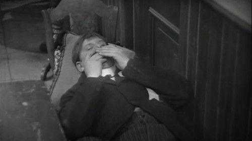 Swiebertje Season 3 Episode 6 - Welkom vreemdeling!