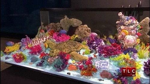 Cake Boss Season 2 Episode 17 - Aquarium Adventures & An Announcement