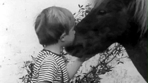 Poly Season 4 Episode 13 - Episode 13