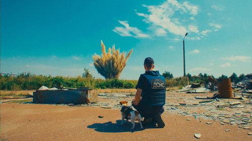 Nature Season 42 Episode 16 - Saving the Animals of Ukraine