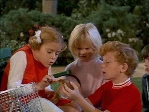 undefined Season 4 Episode 13 - Goodbye Harold