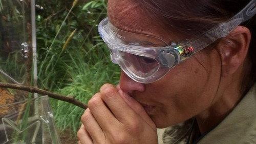 I'm a Celebrity...Get Me Out of Here! Season 14 Episode 18 - Critter Conveyor