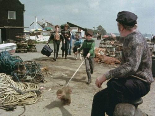 The Famous Five Season 2 Episode 10 - Five Go to Demon's Rocks (1)