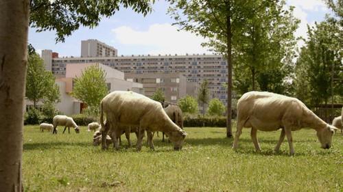 The World in Front Season 11 Episode 24 - Episode 24