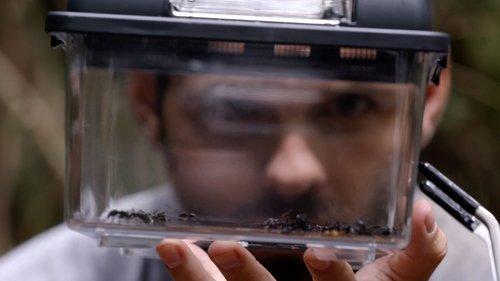 Kings of Pain Season 1 Episode 7 - Big Box of Pain