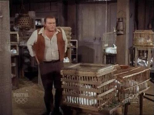 Bonanza Season 8 Episode 16 - Ponderosa Explosion