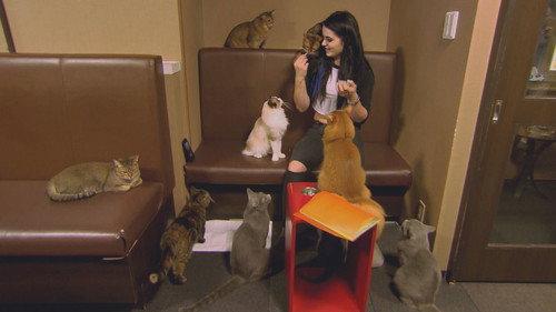 Total Divas Season 5 Episode 1 - Love Triangle